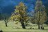 Austria Alps in early Autum